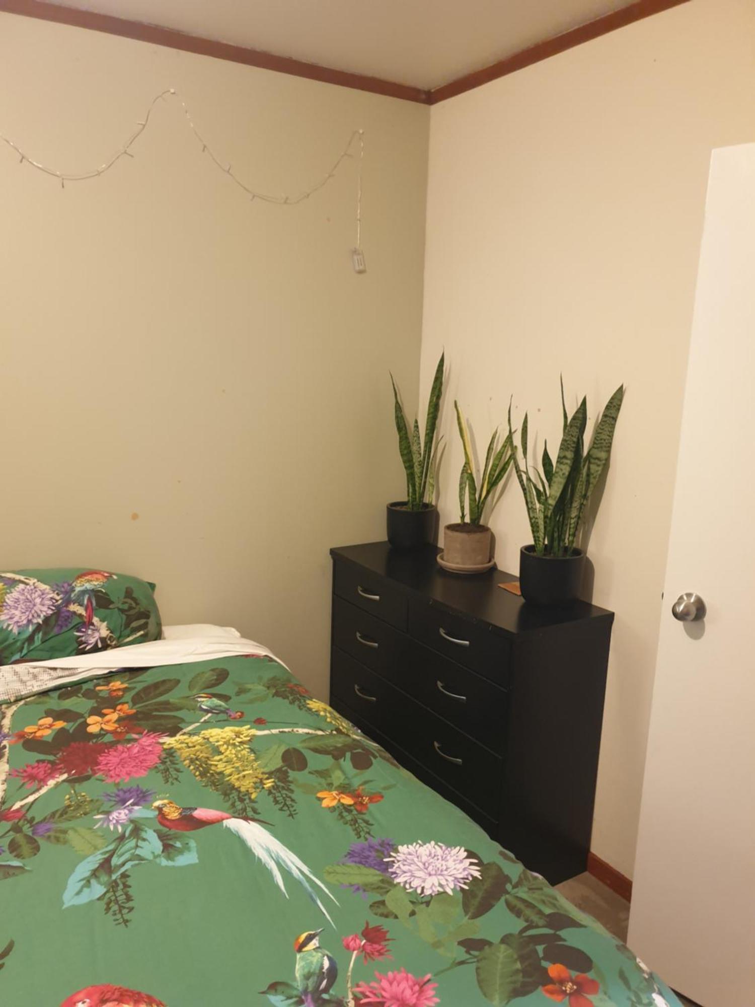 The Grays Apartment Whangarei Luaran gambar